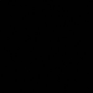 Meet your Posher, Chase